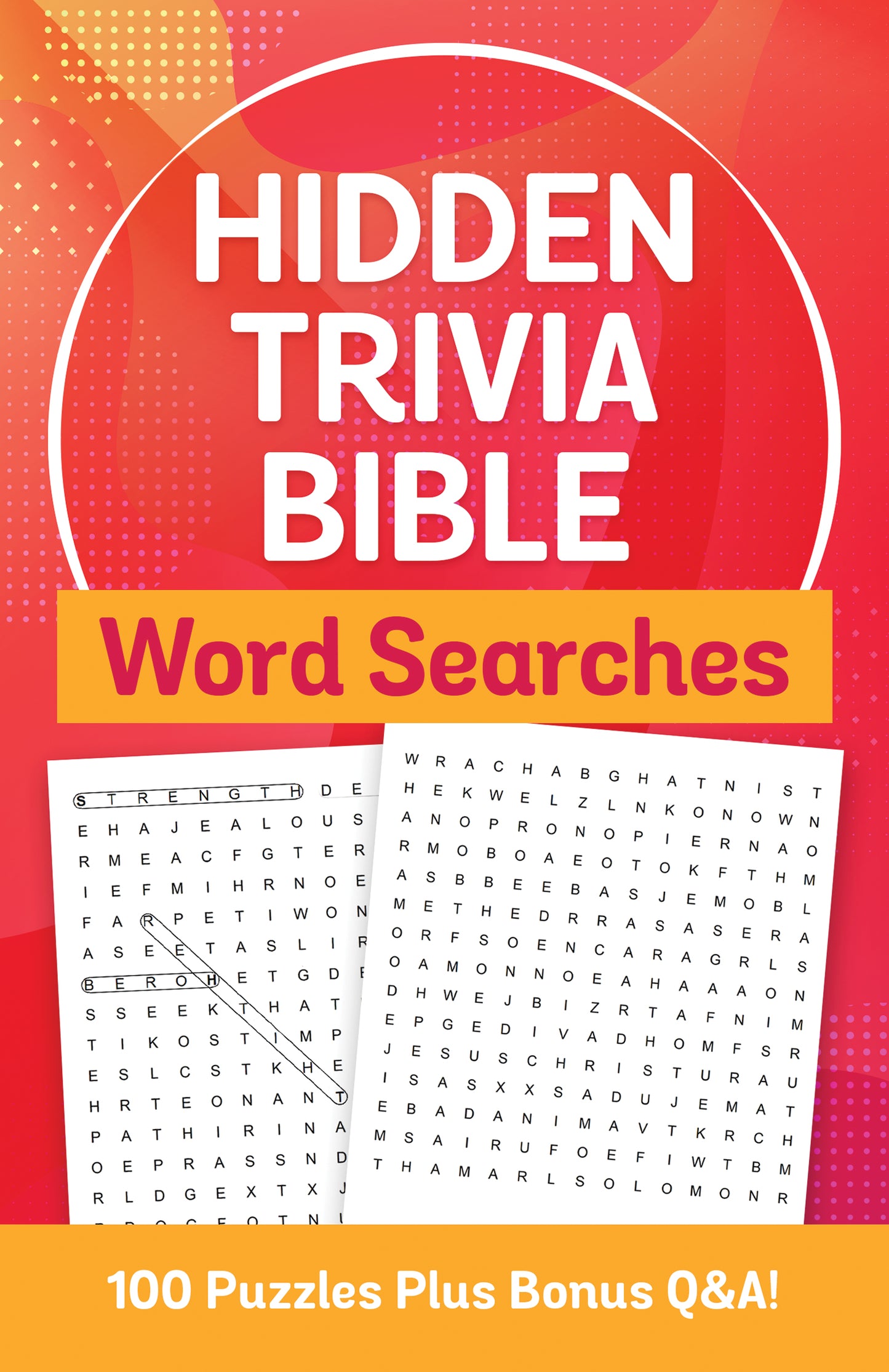 Hidden Trivia Bible Word Searches - The Christian Gift Company