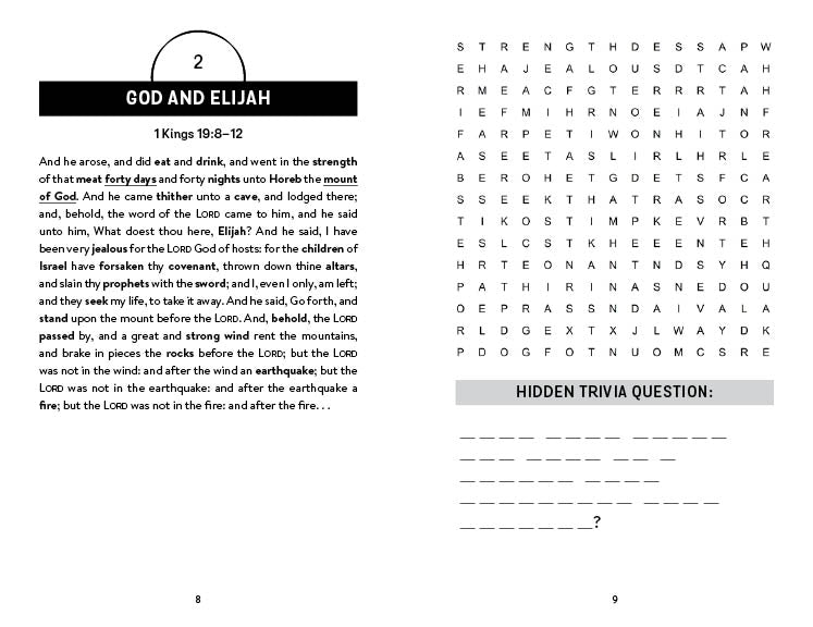 Hidden Trivia Bible Word Searches - The Christian Gift Company