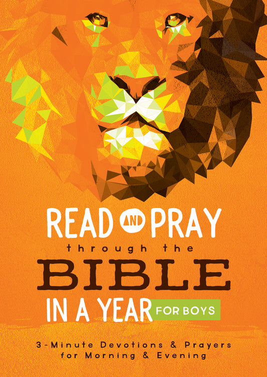 Read and Pray through the Bible in a Year for Boys - The Christian Gift Company