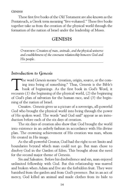 Pocket Bible Handbook - The Christian Gift Company