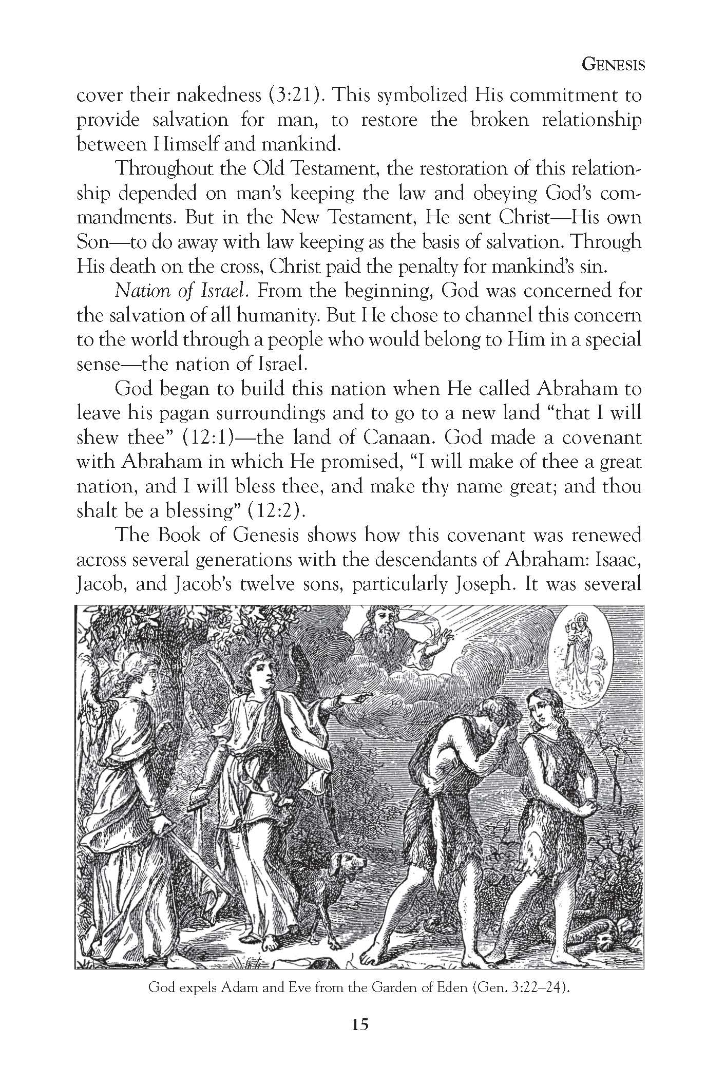 Pocket Bible Handbook - The Christian Gift Company