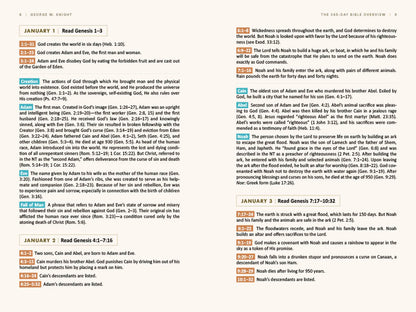 The 365-Day Bible Overview