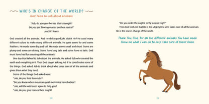 A Year of Bible Animal Stories - The Christian Gift Company