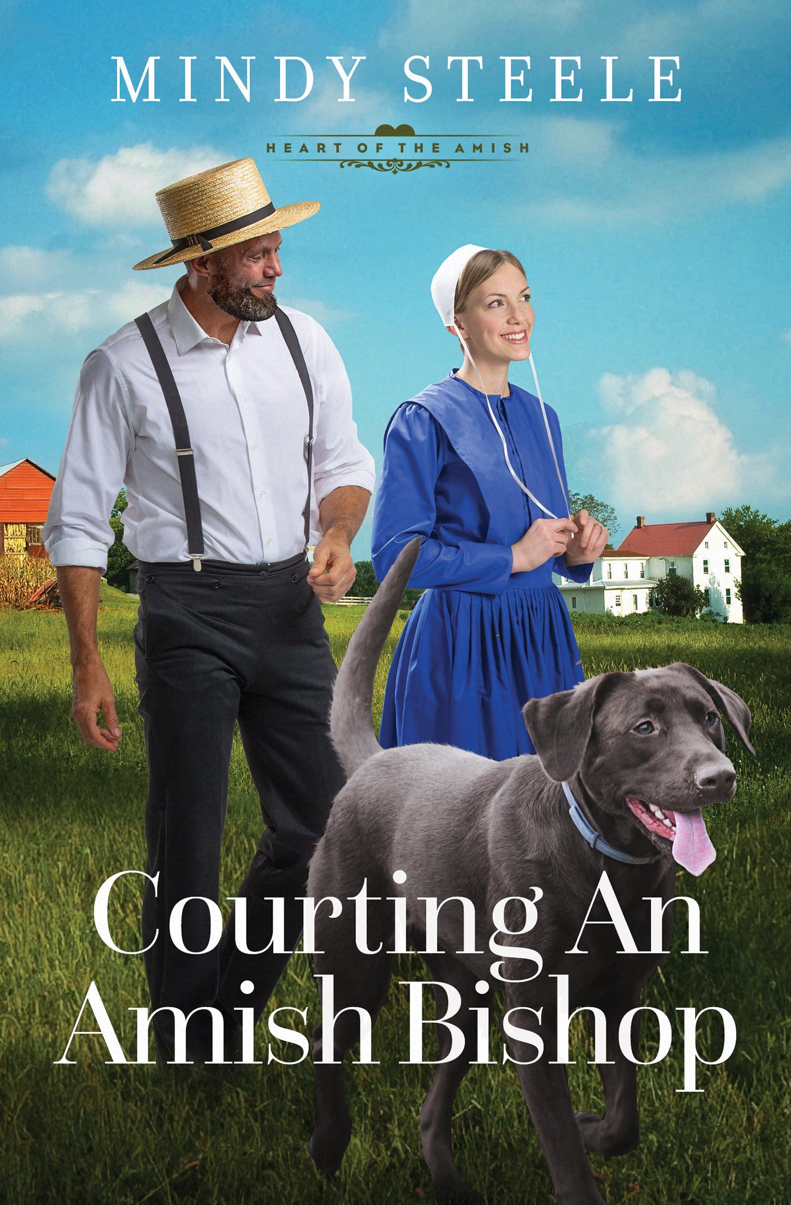Courting an Amish Bishop - The Christian Gift Company