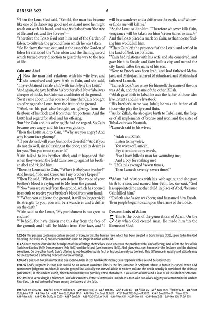 Light for Life NASB Study Bible (Blush Bouquet) - The Christian Gift Company