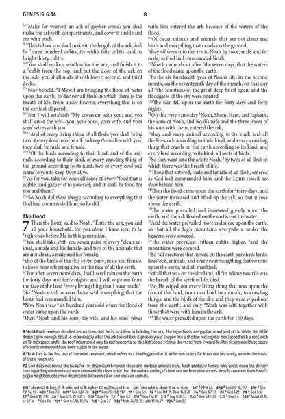 Light for Life NASB Study Bible (Blush Bouquet) - The Christian Gift Company