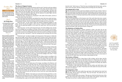 Mustard Seed Faith Devotional Bible--Barbour SKJV [Mustard Yellow Bouquets]