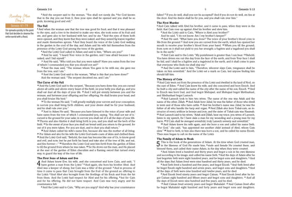 Mustard Seed Faith Devotional Bible--Barbour SKJV [Mustard Yellow Bouquets]