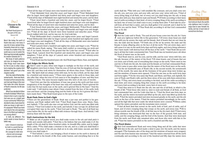 Mustard Seed Faith Devotional Bible--Barbour SKJV [Mustard Yellow Bouquets]