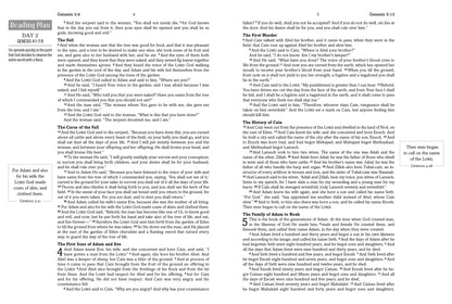 The Hope & Healing Devotional Bible [Doves & Floral Ginger]
