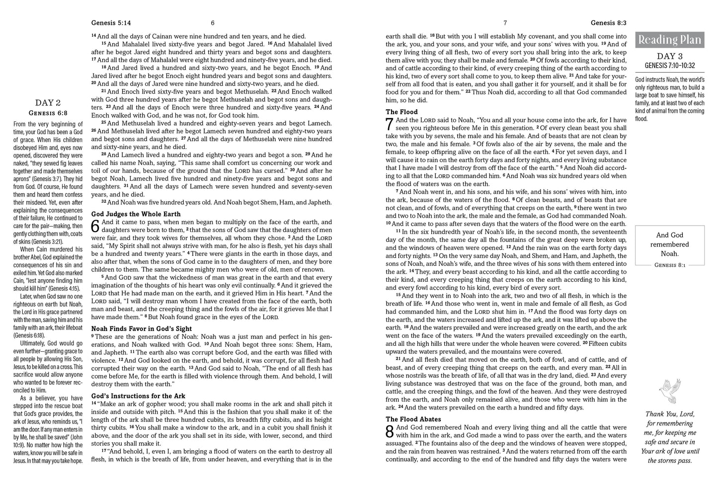 The Hope & Healing Devotional Bible [Doves & Floral Ginger]