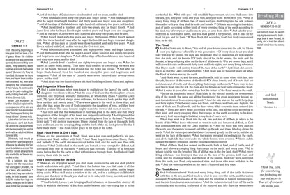 The Hope & Healing Devotional Bible [Doves & Floral Ginger]