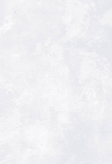 The Gospels - The Christian Gift Company