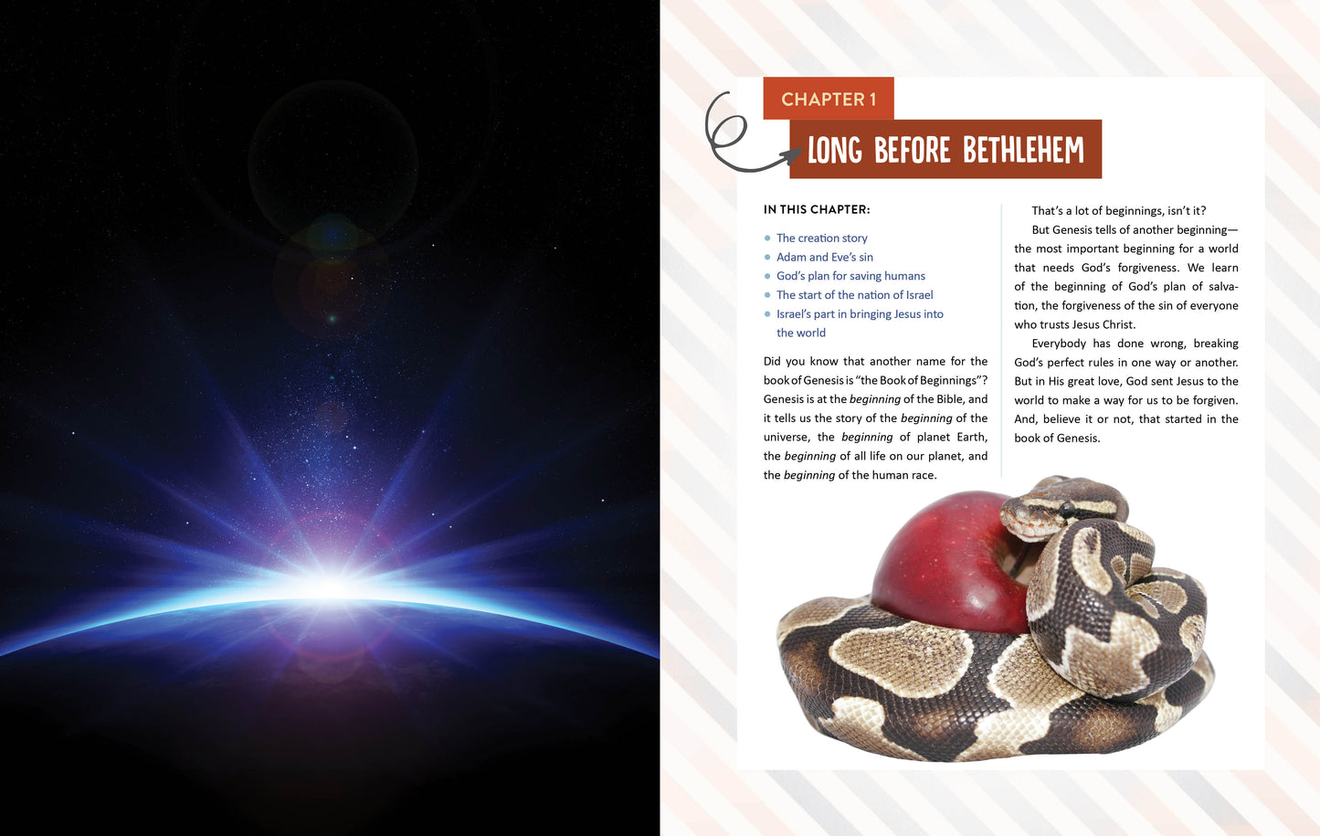 The Bible Adventure! - The Christian Gift Company