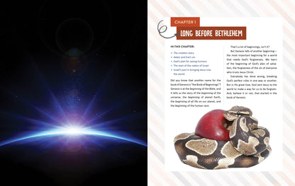 The Bible Adventure! - The Christian Gift Company