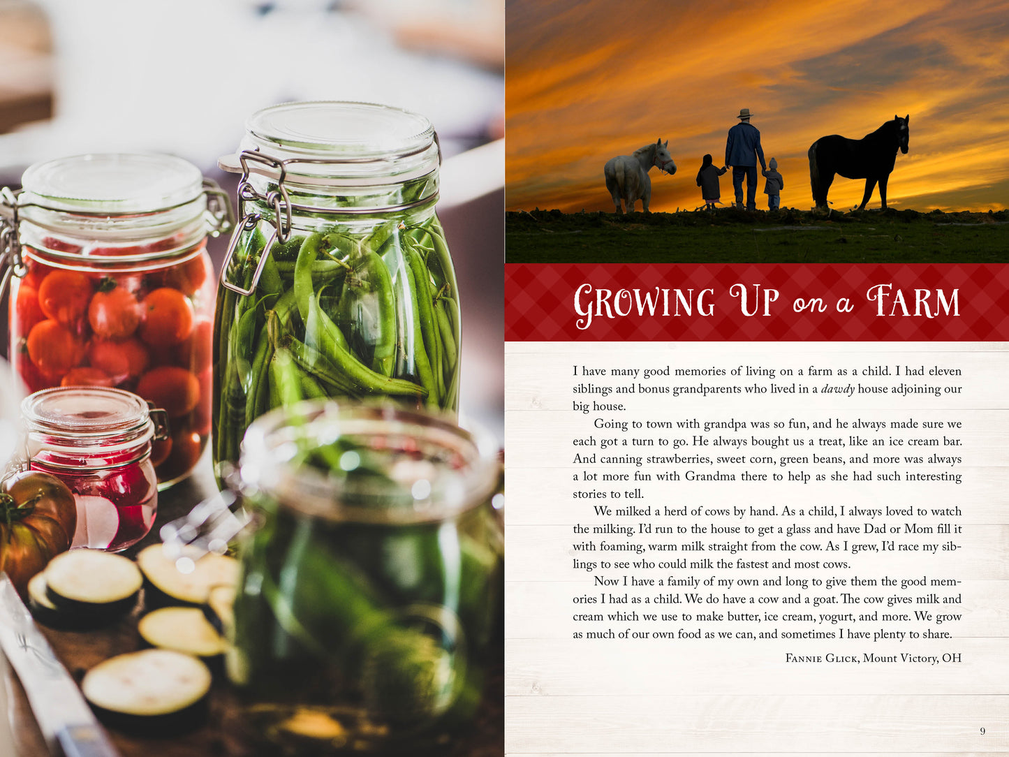 Wanda E. Brunstetter's Amish Friends Farm-to-Table Cookbook - The Christian Gift Company