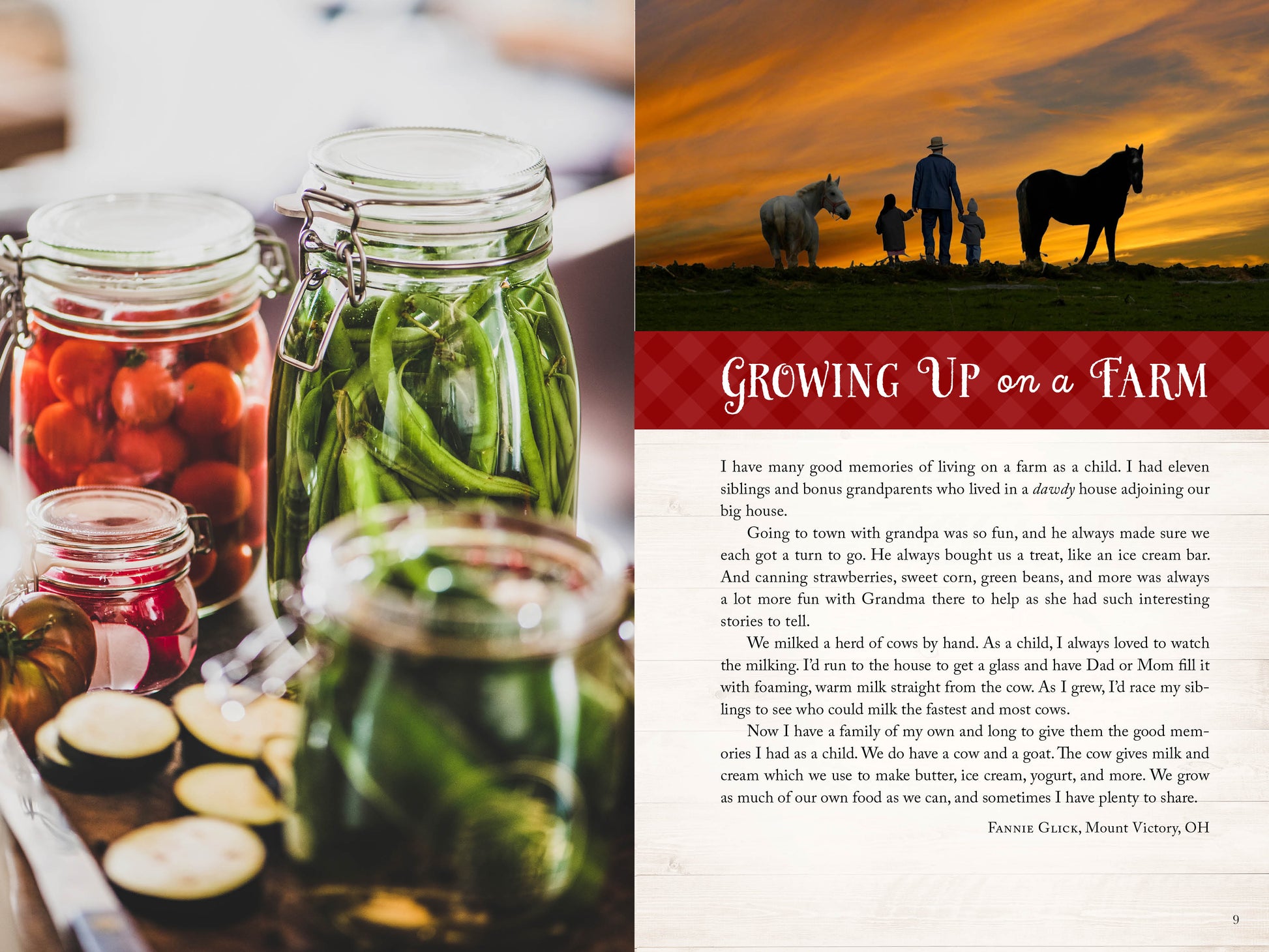 Wanda E. Brunstetter's Amish Friends Farm-to-Table Cookbook - The Christian Gift Company