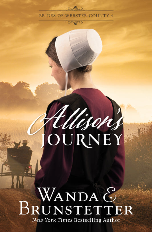 Allison's Journey - The Christian Gift Company