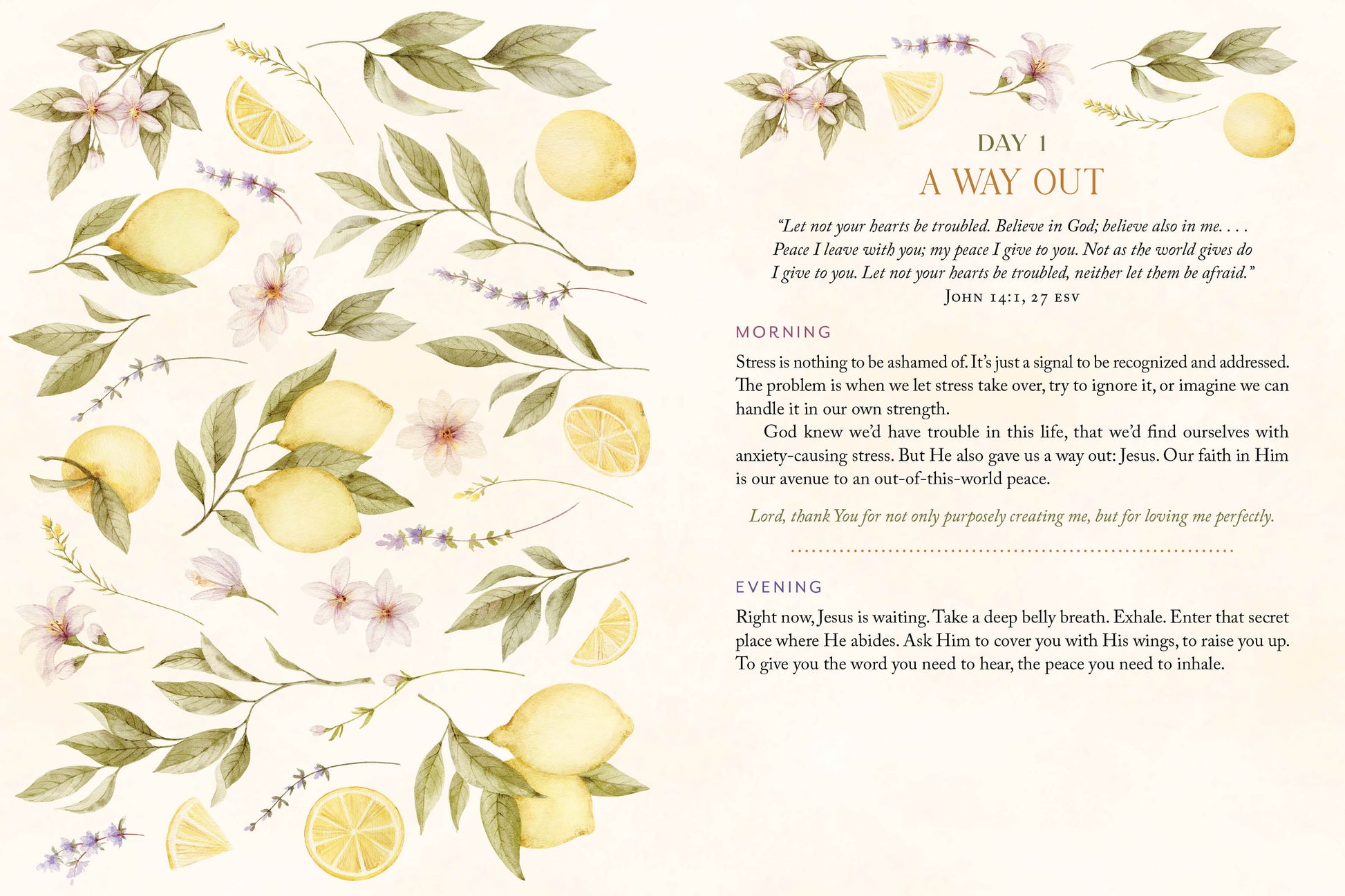 Stress Less, Pray More for Morning and Evening - The Christian Gift Company