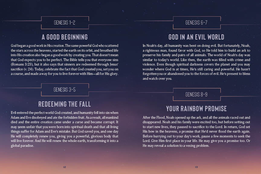 The 5-Minute Bible Reading Plan and Devotional for Men - The Christian Gift Company