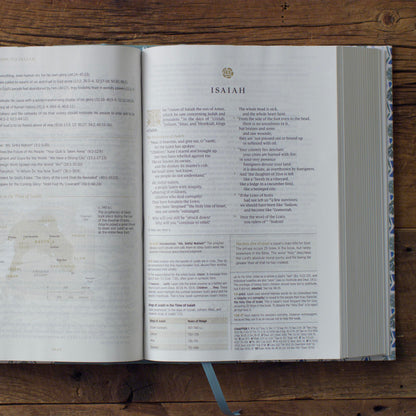 ESV Women's Study Bible, Artist Series (Cloth over Board, Lulie Wallace, Sarah) - The Christian Gift Company