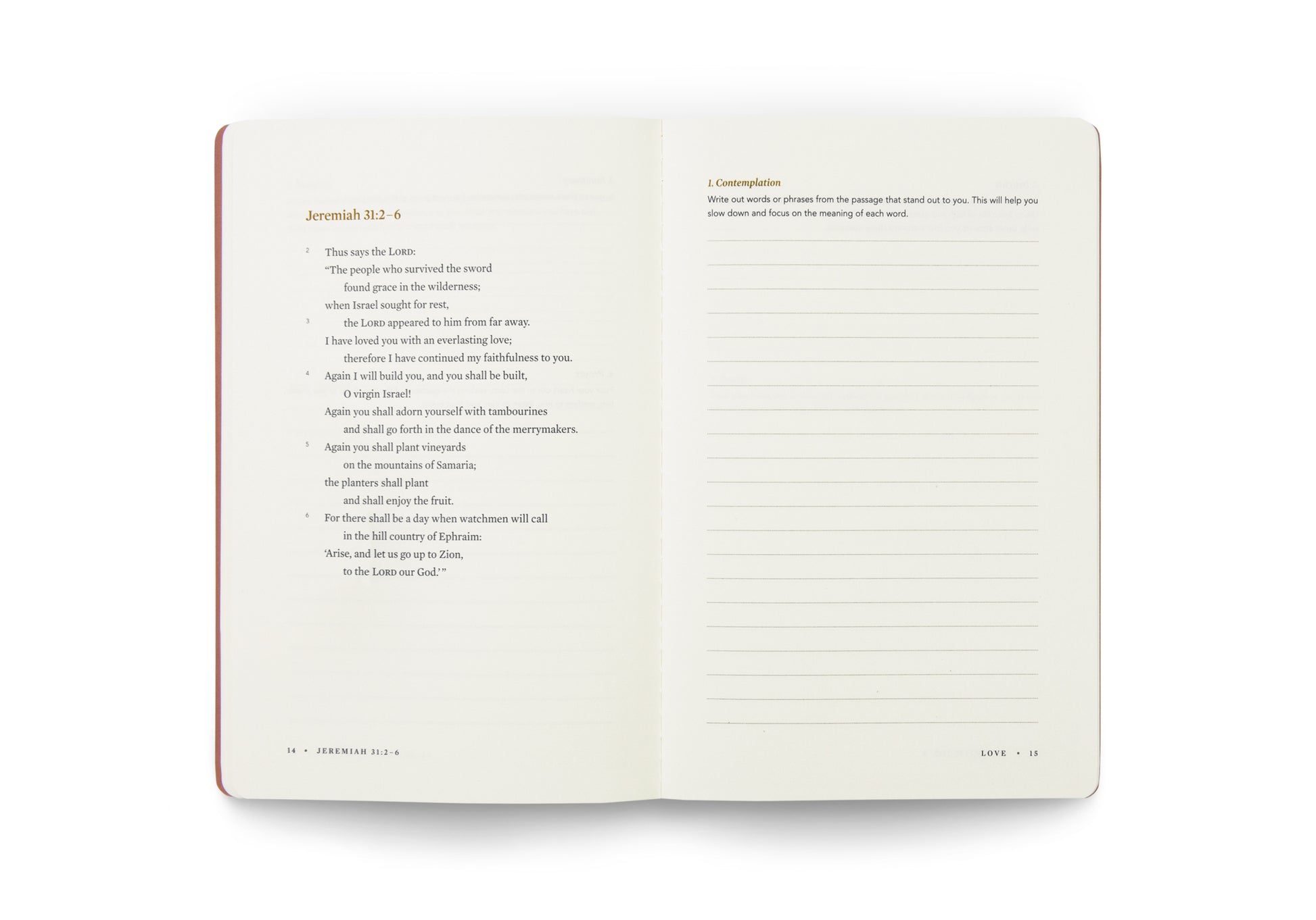ESV Devotional Journal, Fruit of the Spirit: Love - The Christian Gift Company