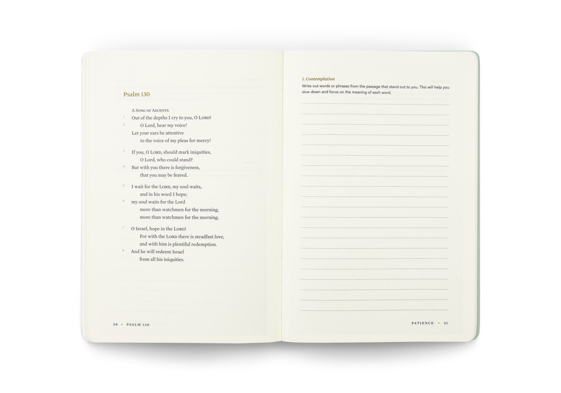 ESV Devotional Journal, Fruit of the Spirit: Patience - The Christian Gift Company