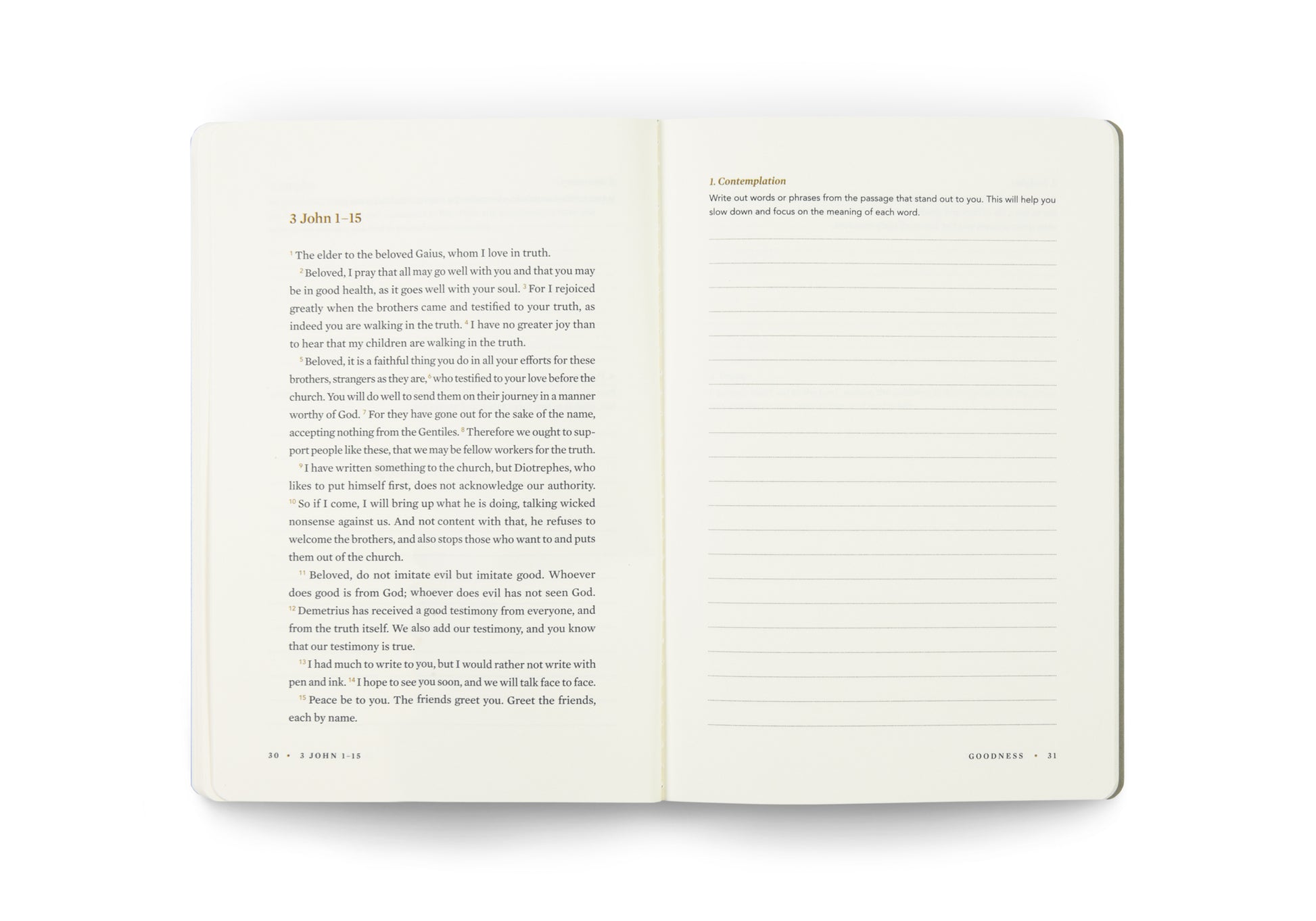 ESV Devotional Journal, Fruit of the Spirit: Goodness - The Christian Gift Company