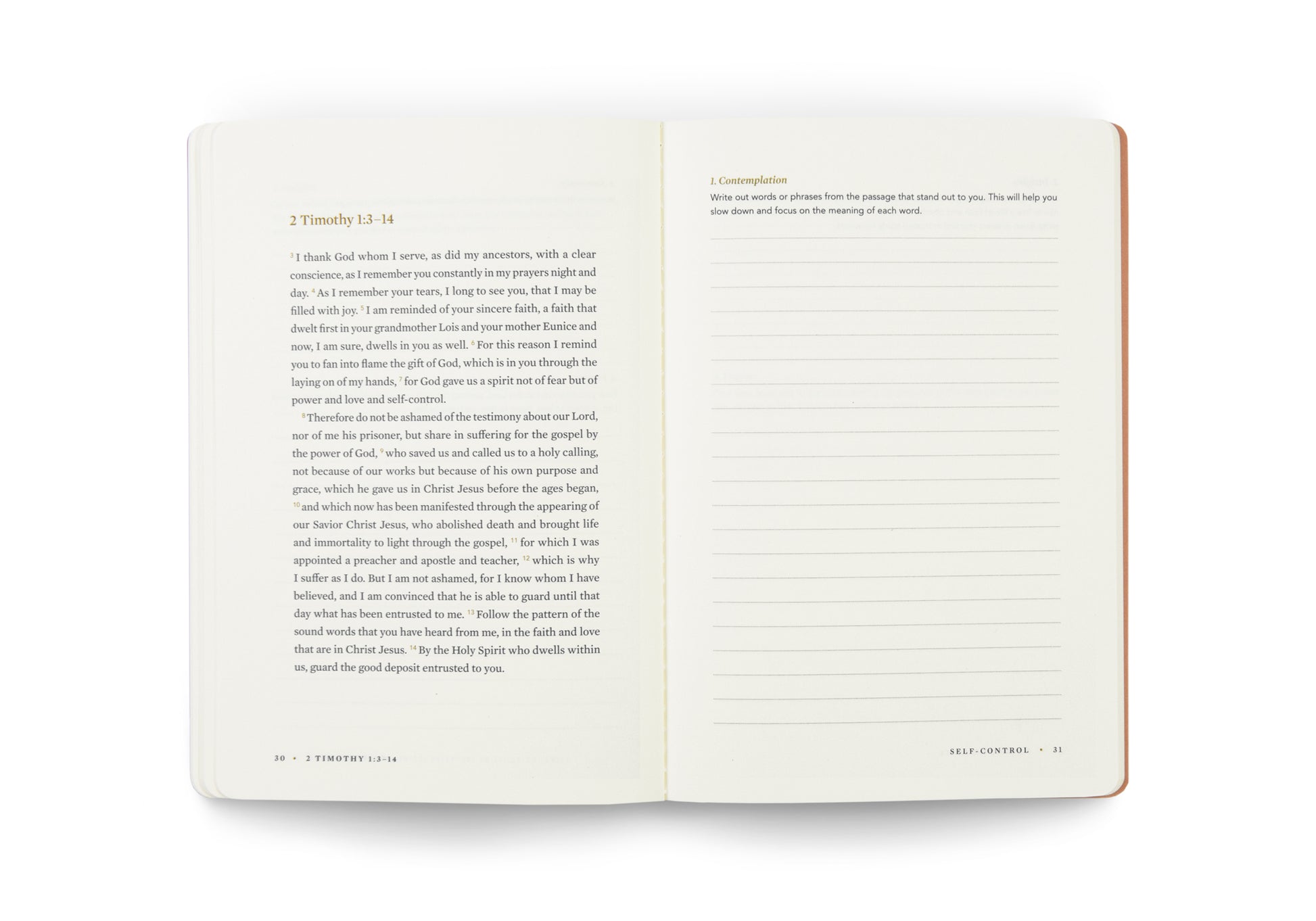 ESV Devotional Journal, Fruit of the Spirit: Self-Control - The Christian Gift Company