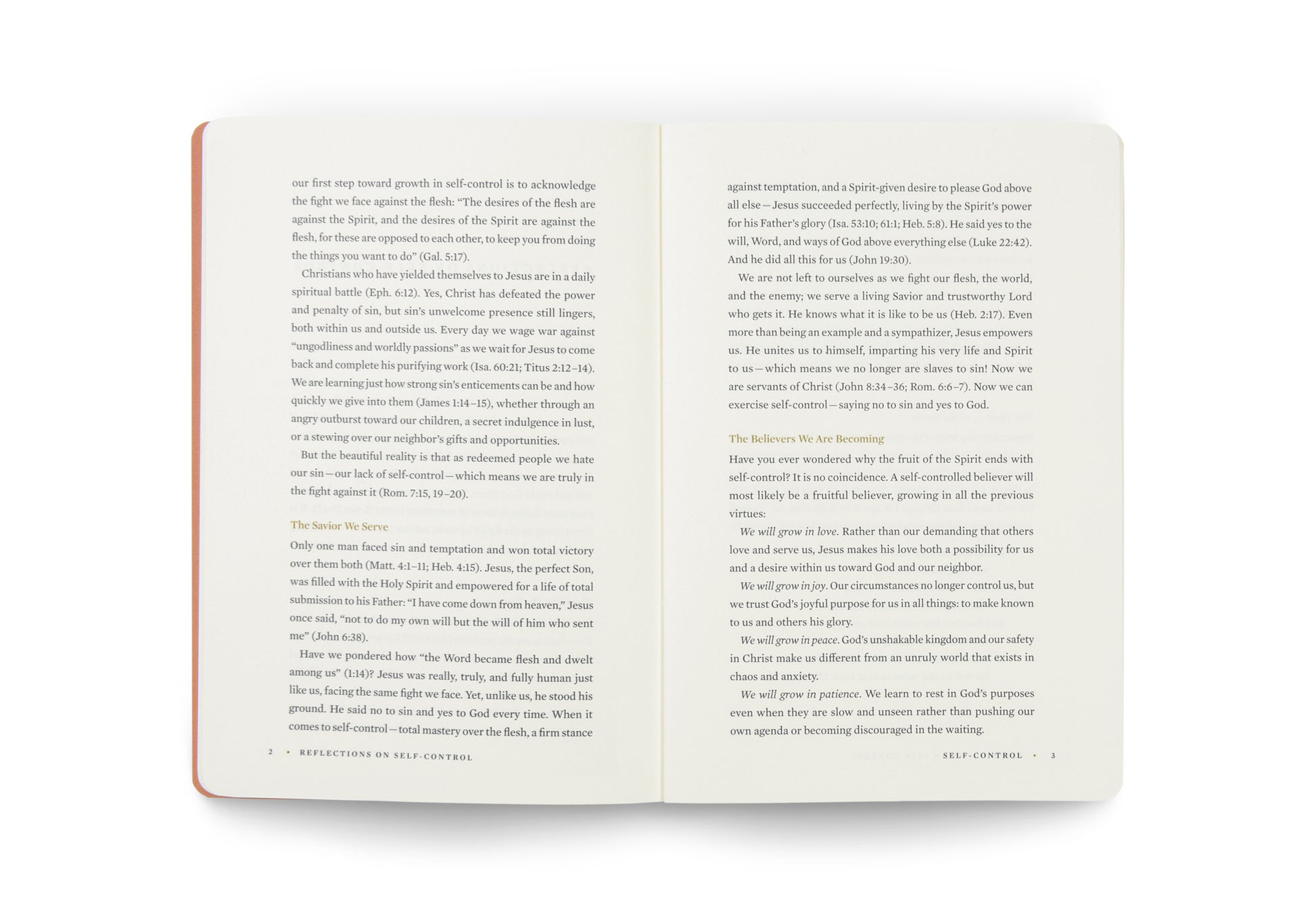 ESV Devotional Journal, Fruit of the Spirit: Self-Control - The Christian Gift Company