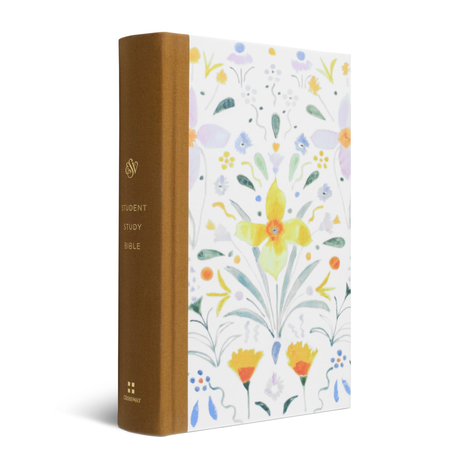 ESV Student Study Bible, Artist Series - Sunburst - The Christian Gift Company