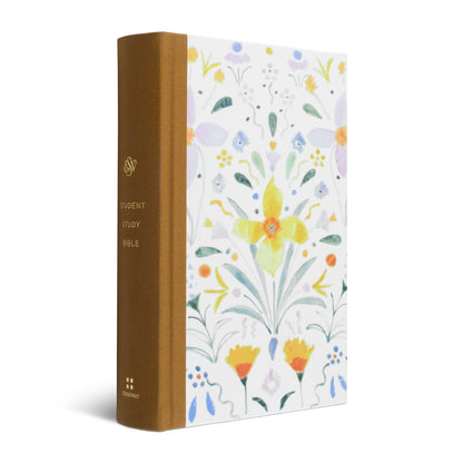 ESV Student Study Bible, Artist Series - Sunburst - The Christian Gift Company