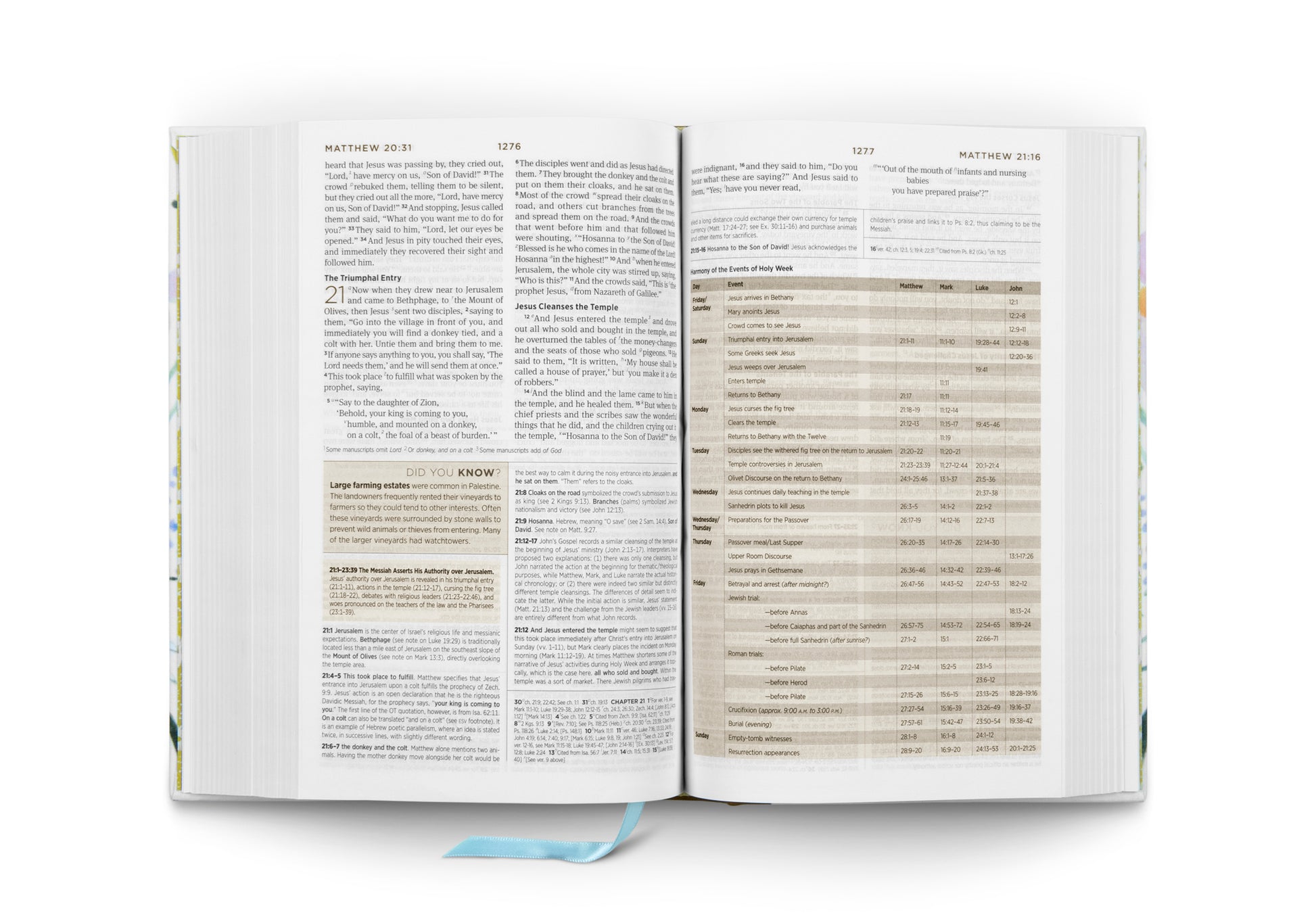 ESV Student Study Bible, Artist Series - Sunburst - The Christian Gift Company