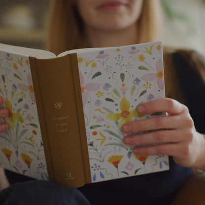 ESV Student Study Bible, Artist Series - Sunburst - The Christian Gift Company