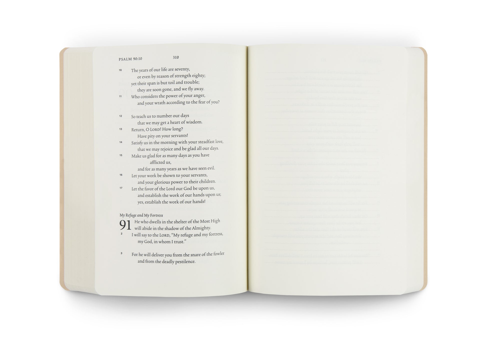 ESV Scripture Journal: Psalms - The Christian Gift Company
