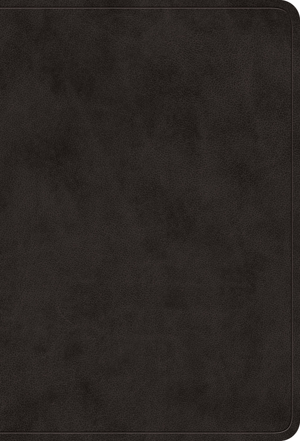 ESV Value Large Print Compact Bible, TruTone®, Black - The Christian Gift Company