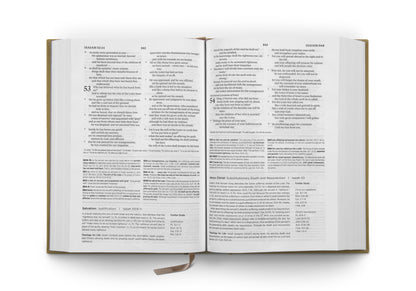 ESV Systematic Theology Study Bible, Ochre - The Christian Gift Company