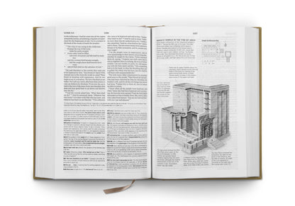 ESV Systematic Theology Study Bible, Ochre - The Christian Gift Company