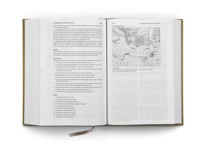 ESV Systematic Theology Study Bible, Ochre - The Christian Gift Company