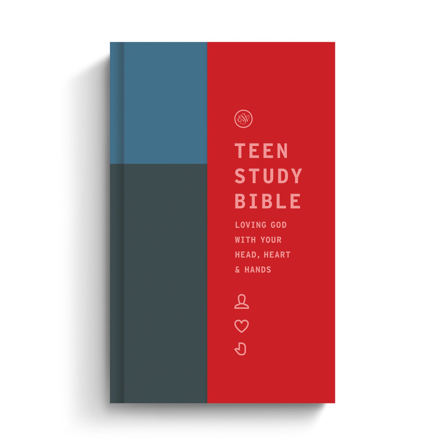 ESV Teen Study Bible, Hardcover - The Christian Gift Company