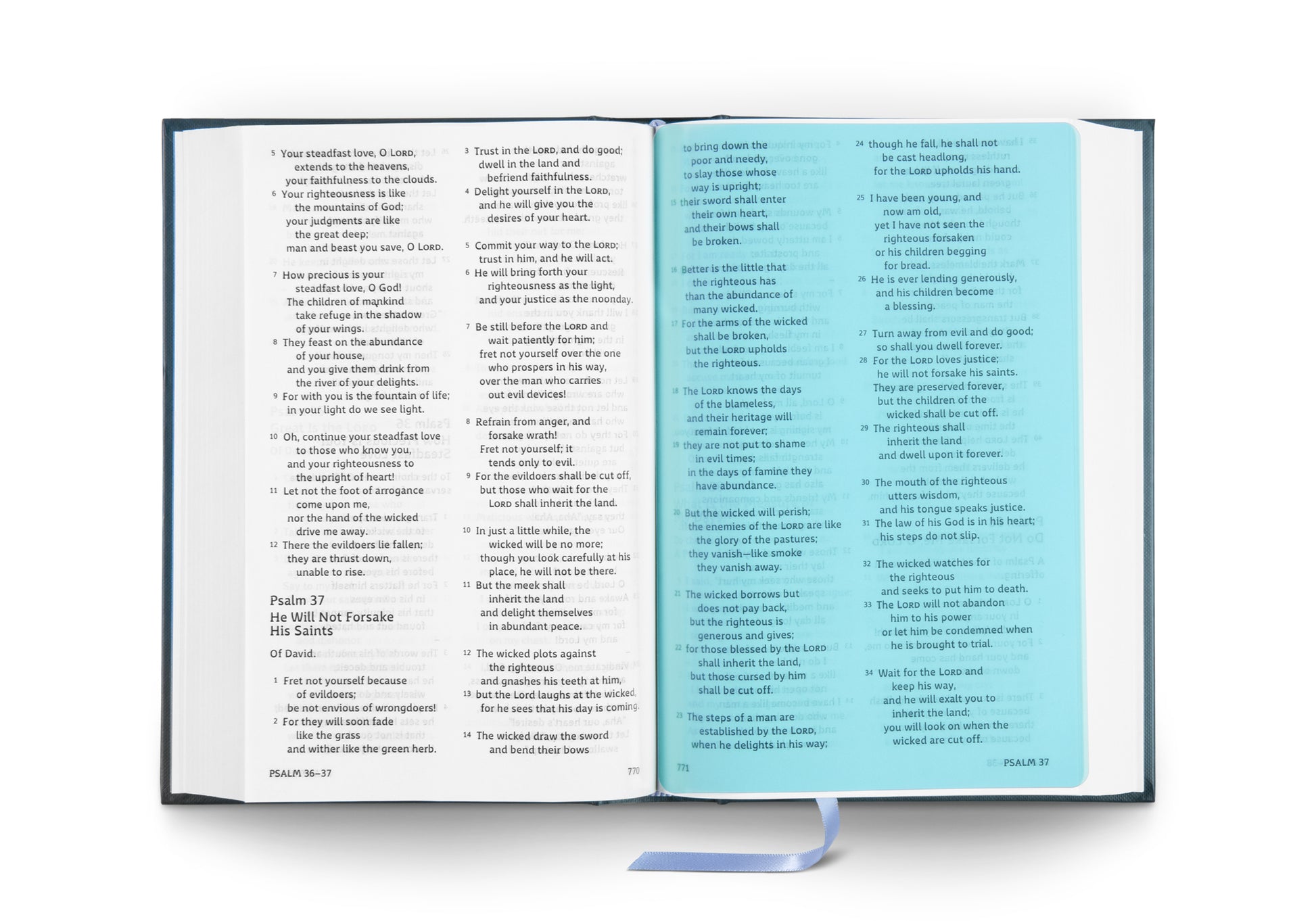 ESV Dyslexia-Friendly Edition, Hardcover - The Christian Gift Company