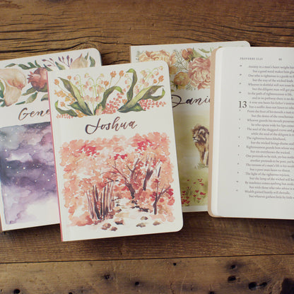 ESV Scripture Journal Box Set - Old Testament - The Christian Gift Company