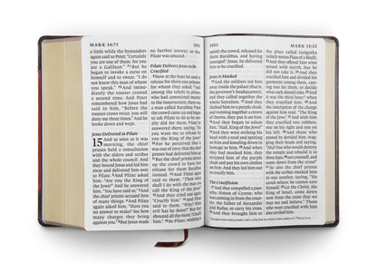 ESV Super Giant Print Bible, TruTone®, Brown - The Christian Gift Company