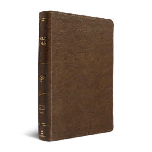 ESV Dyslexia-Friendly Edition, TruTone®, Brown - The Christian Gift Company