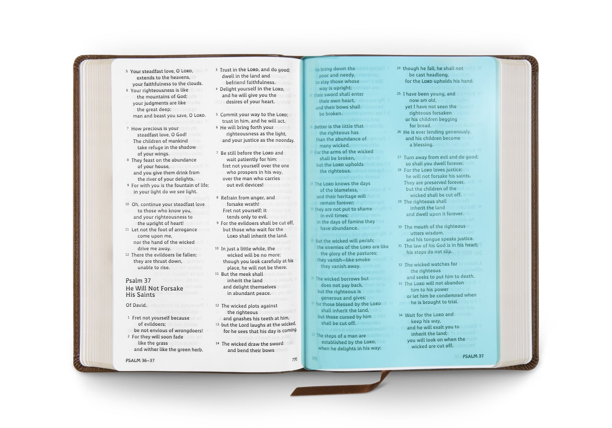 ESV Dyslexia-Friendly Edition, TruTone®, Brown - The Christian Gift Company