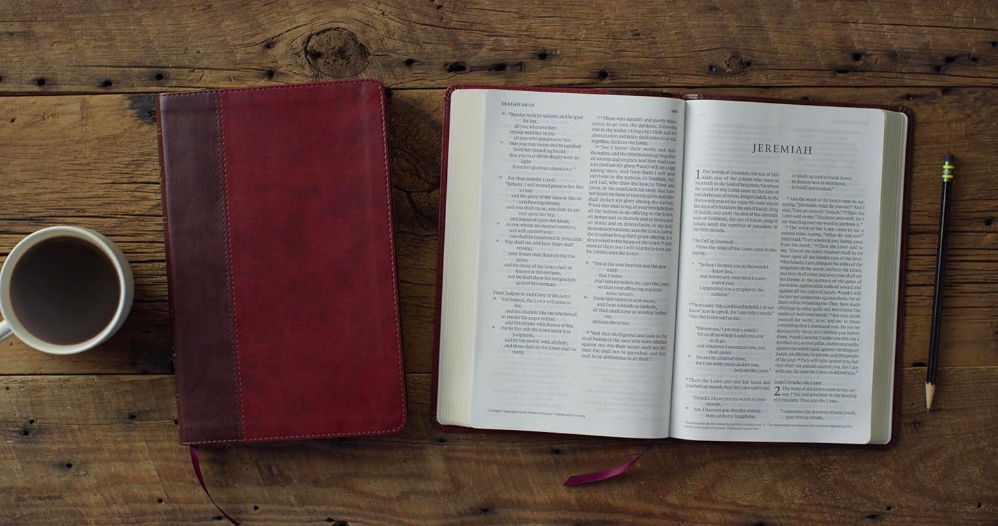 ESV Large Print Thinline Bible, TruTone®, Burgundy/Red