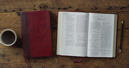 ESV Large Print Thinline Bible, TruTone®, Burgundy/Red