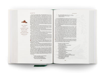 ESV GraceLaced Bible, Journalling Edition - The Christian Gift Company