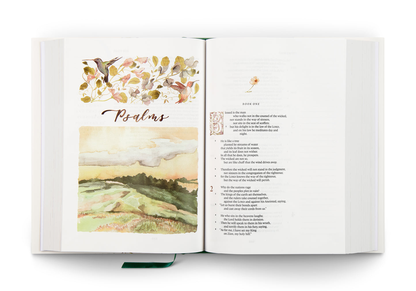 ESV GraceLaced Bible, Journalling Edition - The Christian Gift Company