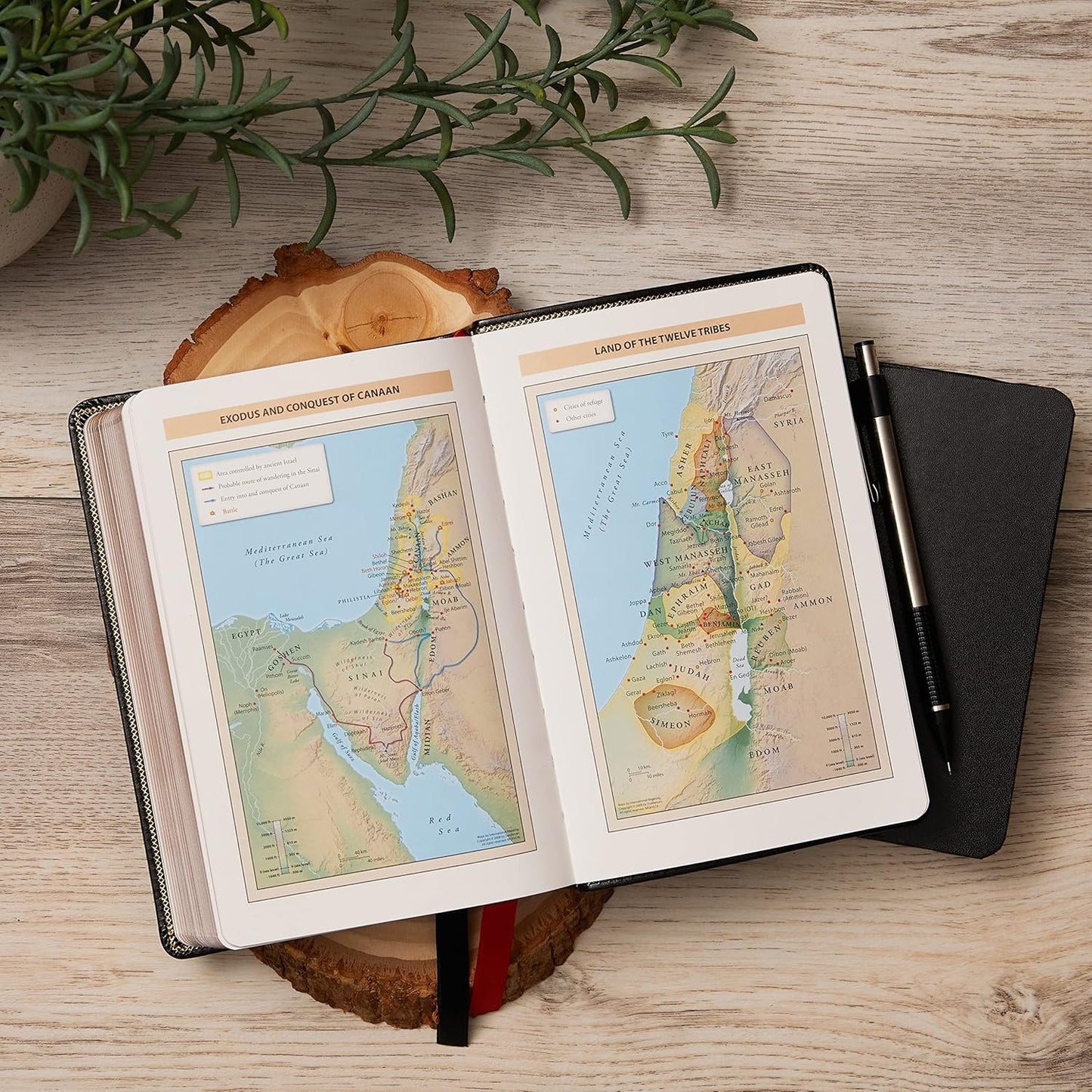 NKJV, Reference Bible, Compact Large Print, Leathersoft, Black, Red Letter, Comfort Print - The Christian Gift Company